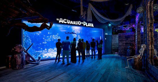 Xavage Park by Xcaret